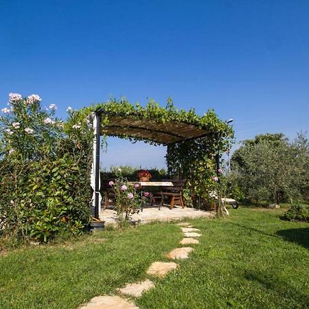 Rade Stancijeta Apartments Novigrad  Exterior photo