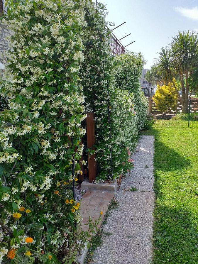 Rade Stancijeta Apartments Novigrad  Exterior photo